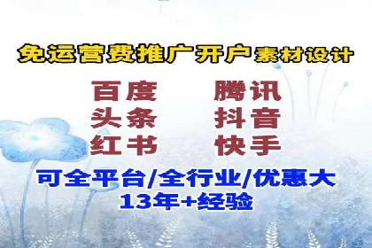 谷歌SEM广告策略：某电商平台的成功逆袭案例